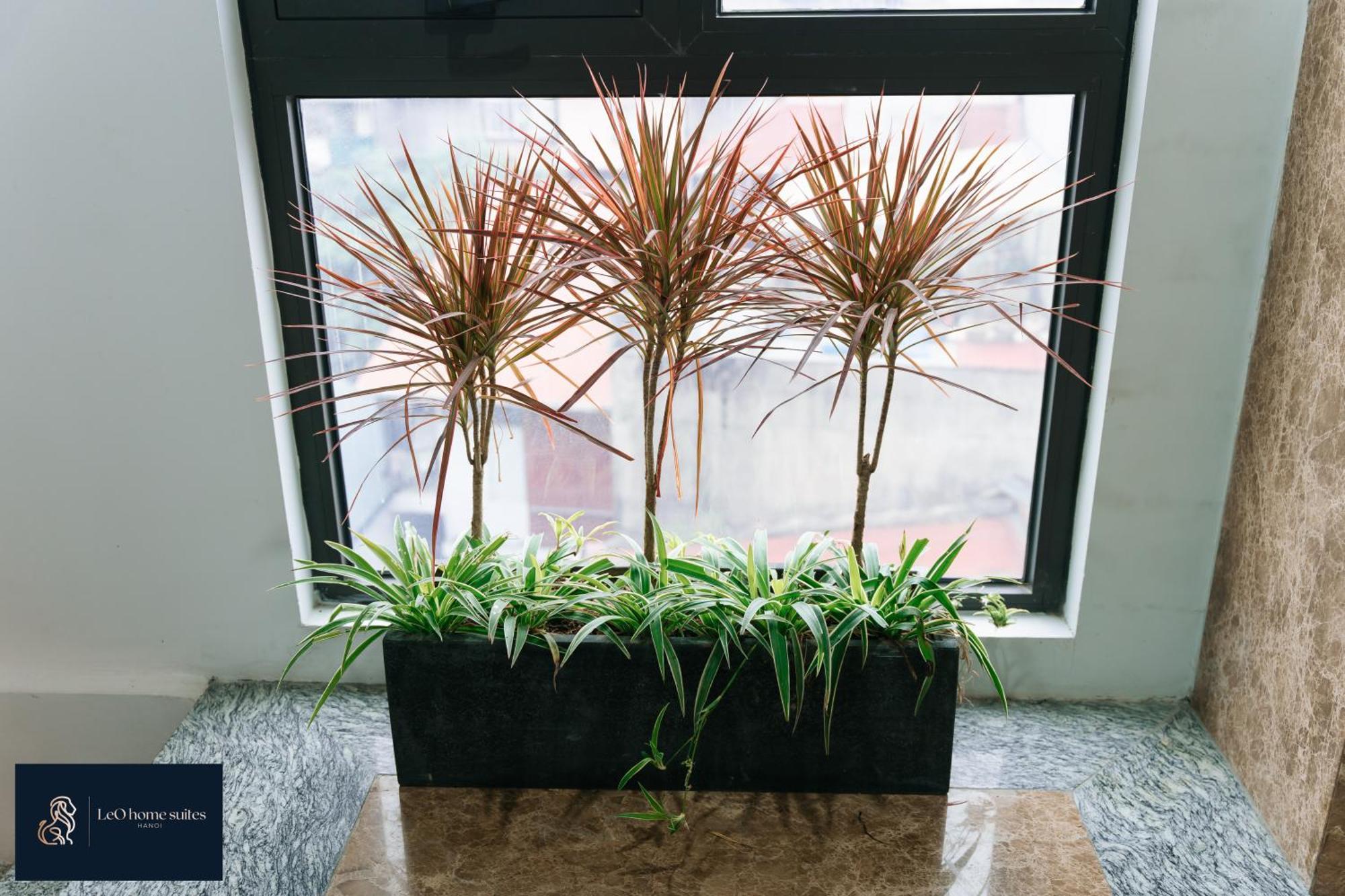 High-Ser Apartment -2Br - Niceview - Parking - Spacious - In Center Hanoi Bagian luar foto
